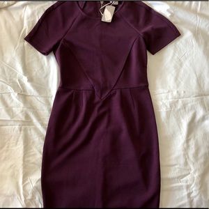 Plum form fitting dress! NWT